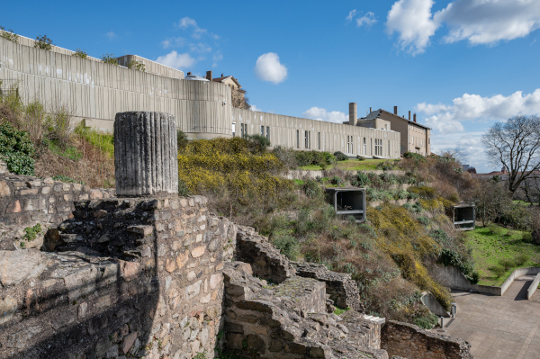 Illustration site_musee