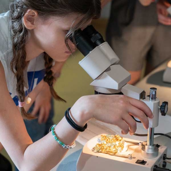 Journées européennes de l'archéologie