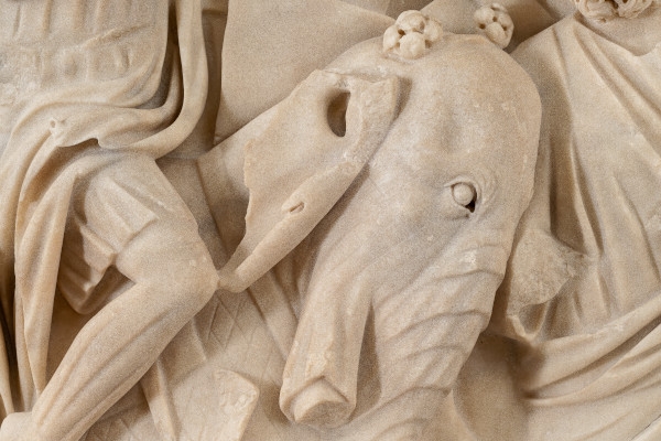 Illustration VI_sentir